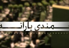 يارانه‌هايي‌که هدفمند نشد