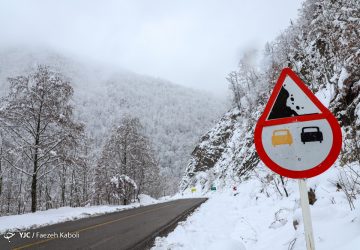 برف زمستانی در جنگل توسکستان