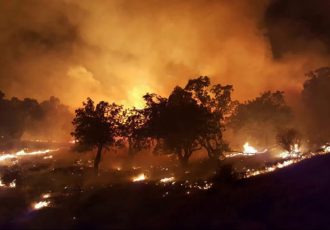 آتش سوزی پرتکرار جنگل‌های زاگرس
