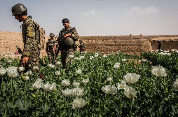 اشغالگری با طعم خشخاش!