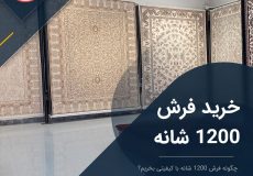 سه موضوع مهم در انتخاب فرش ۱۲۰۰ شانه