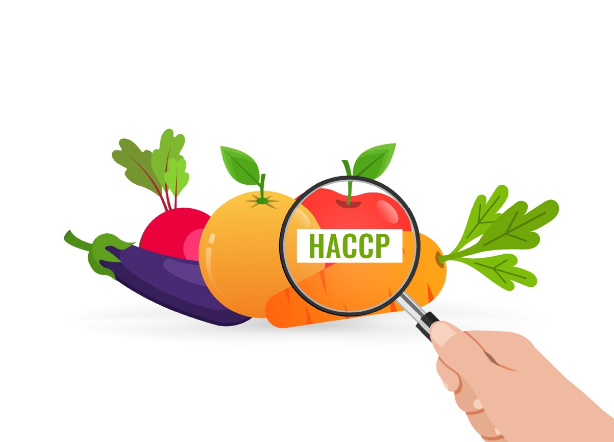 HACCP food safety checking and inspection 4375476 Vector Art at Vecteezy