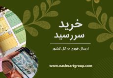 ۶ مدل محبوب در خرید سررسید + نحوه محاسبه قیمت سررسید